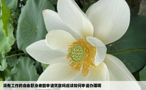 没有工作的自由职业者能申请贷款吗应该如何申请办理呢