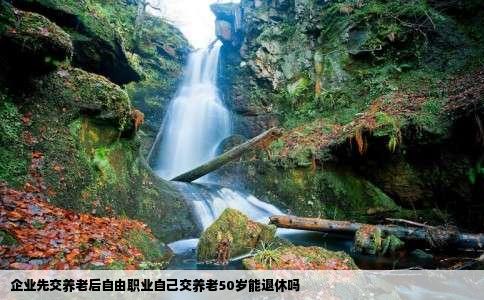 企业先交养老后自由职业自己交养老50岁能退休吗