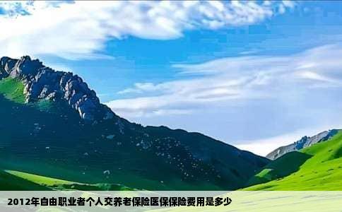 2012年自由职业者个人交养老保险医保保险费用是多少