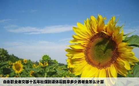 自由职业者交够十五年社保到退休后能拿多少养老金怎么计算