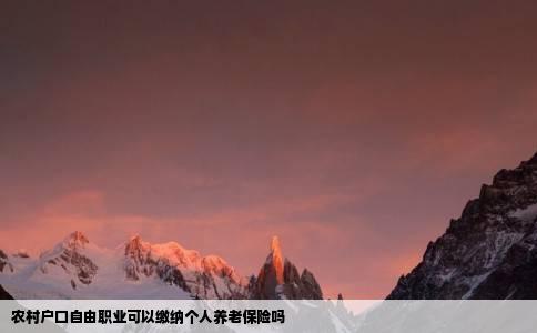 农村户口自由职业可以缴纳个人养老保险吗