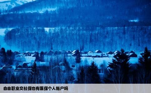 自由职业交社保也有医保个人帐户吗