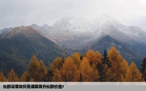 社群运营如何用课程提升社群价值？