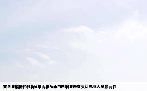 交企业最低档社保6年离职从事自由职业是交灵活就业人员最高档