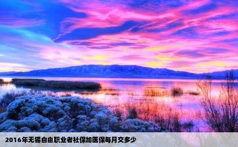 2016年无锡自由职业者社保加医保每月交多少
