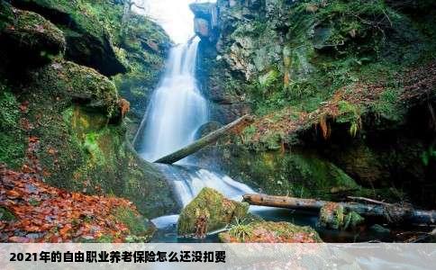 2021年的自由职业养老保险怎么还没扣费