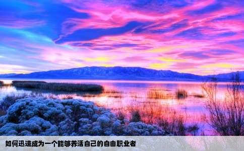 如何迅速成为一个能够养活自己的自由职业者