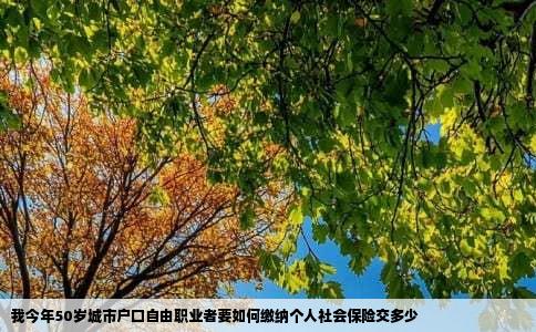 我今年50岁城市户口自由职业者要如何缴纳个人社会保险交多少