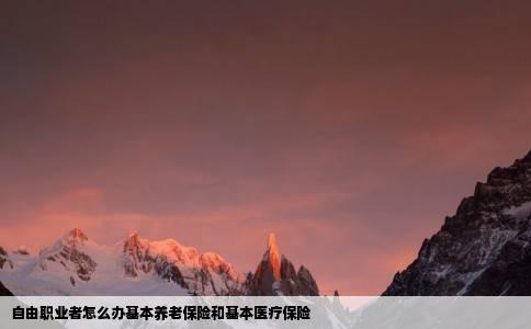 自由职业者怎么办基本养老保险和基本医疗保险