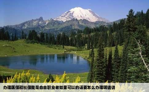 办理医保和社保我是自由职业者如果可以的话要怎么办理呢请讲