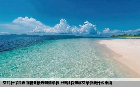 交的社保是自由职业最近想到单位上班社保想移交单位要什么手续