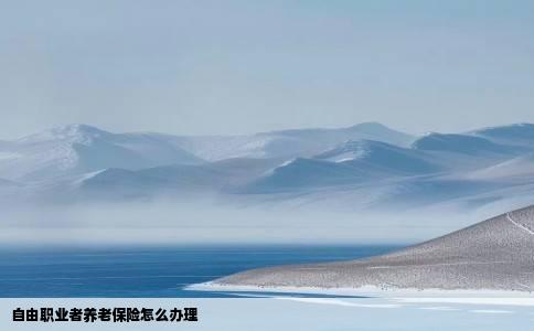 自由职业者养老保险怎么办理