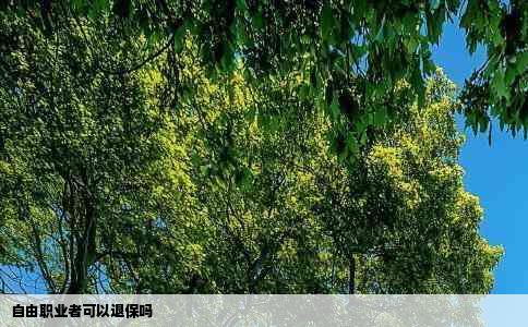 自由职业者可以退保吗