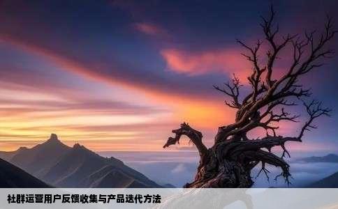 社群运营用户反馈收集与产品迭代方法