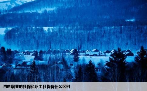 自由职业的社保和职工社保有什么区别