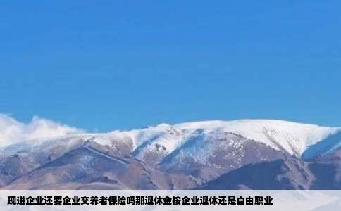 现进企业还要企业交养老保险吗那退休金按企业退休还是自由职业