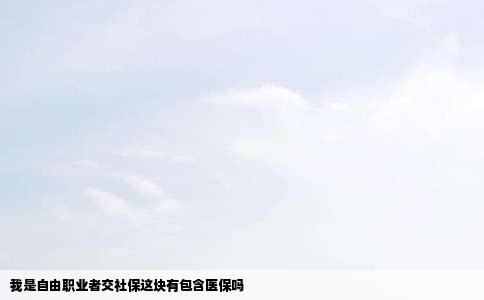 我是自由职业者交社保这块有包含医保吗