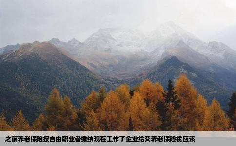 之前养老保险按自由职业者缴纳现在工作了企业给交养老保险我应该