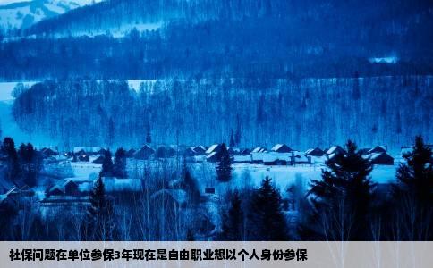 社保问题在单位参保3年现在是自由职业想以个人身份参保