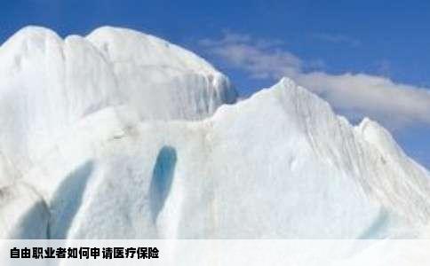 自由职业者如何申请医疗保险