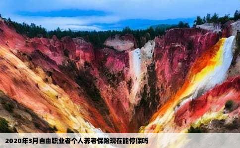 2020年3月自由职业者个人养老保险现在能停保吗