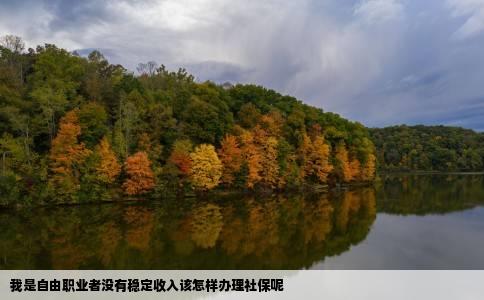 我是自由职业者没有稳定收入该怎样办理社保呢