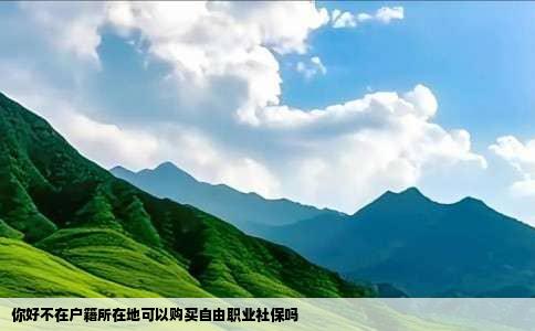 你好不在户籍所在地可以购买自由职业社保吗