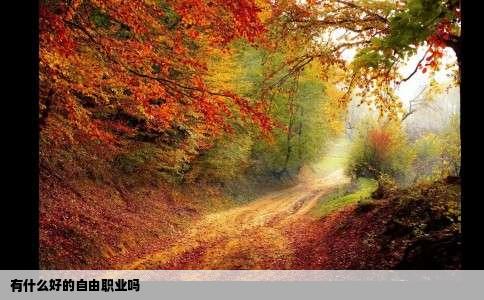 有什么好的自由职业吗