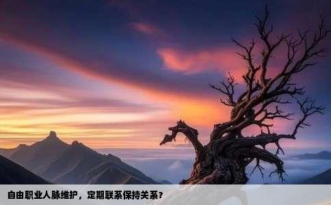 自由职业人脉维护，定期联系保持关系？