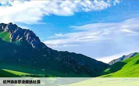 杭州自由职业缴纳社保