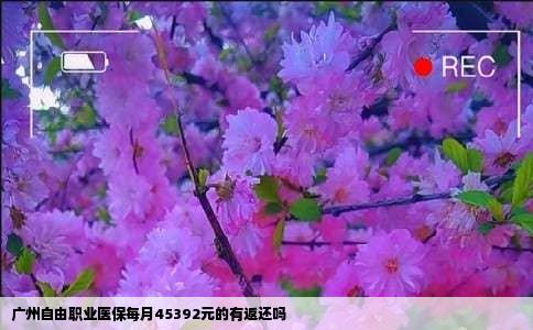 广州自由职业医保每月45392元的有返还吗