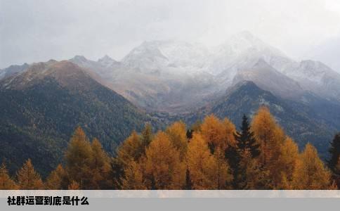 社群运营到底是什么