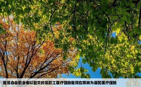 我是自由职业者以前交的是职工医疗保险我现在想转为居民医疗保险