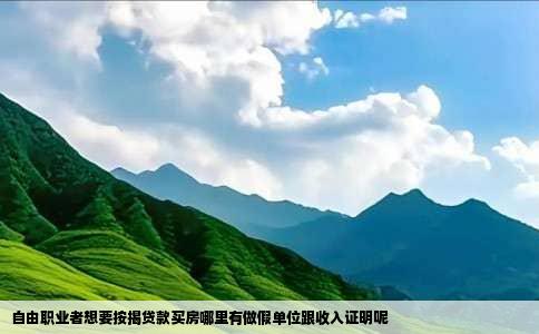 自由职业者想要按揭贷款买房哪里有做假单位跟收入证明呢