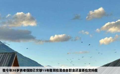 我今年30岁养老保险已交够15年我现在是自由职业还需要在交吗我