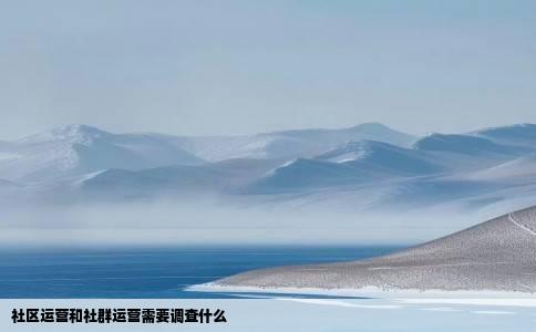 社区运营和社群运营需要调查什么