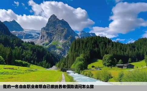 我的一名自由职业者想自己缴纳养老保险请问怎么做