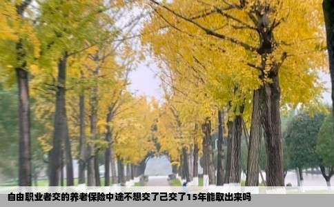 自由职业者交的养老保险中途不想交了己交了15年能取出来吗