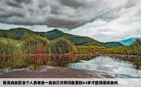 我是自由职业个人养老金一直自己交想问我要到65岁才能领退休金吗
