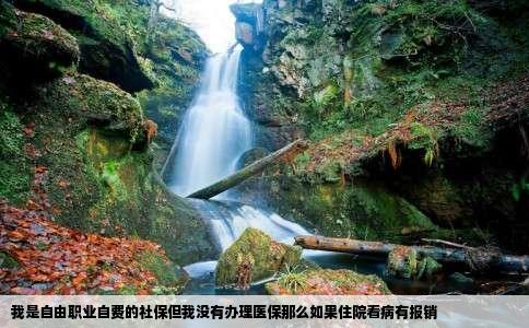 我是自由职业自费的社保但我没有办理医保那么如果住院看病有报销