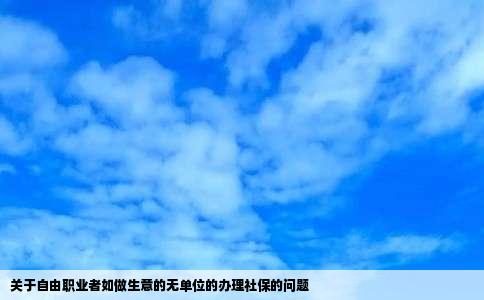 关于自由职业者如做生意的无单位的办理社保的问题