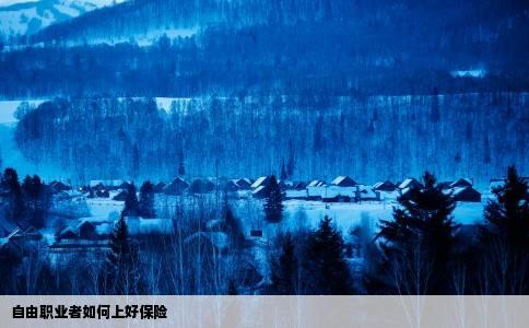 自由职业者如何上好保险