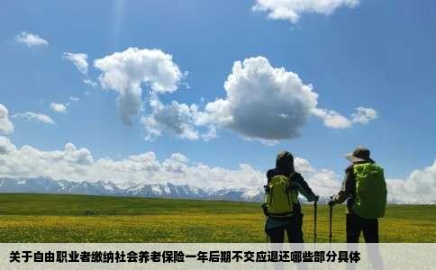 关于自由职业者缴纳社会养老保险一年后期不交应退还哪些部分具体