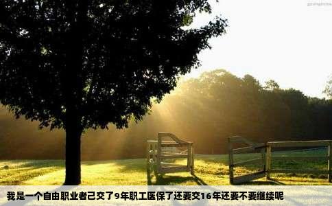 我是一个自由职业者己交了9年职工医保了还要交16年还要不要继续呢
