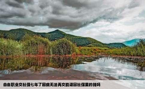 自由职业交社保七年了因病无法再交能退回社保里的钱吗