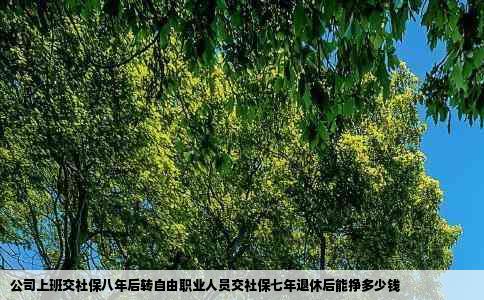 公司上班交社保八年后转自由职业人员交社保七年退休后能挣多少钱