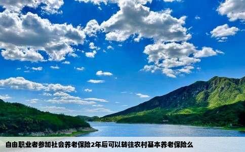 自由职业者参加社会养老保险2年后可以转往农村基本养老保险么