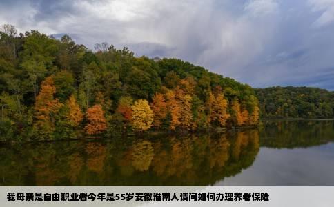 我母亲是自由职业者今年是55岁安徽淮南人请问如何办理养老保险