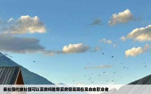 易社保代缴社保可以买房吗我想买房但是现在是自由职业者