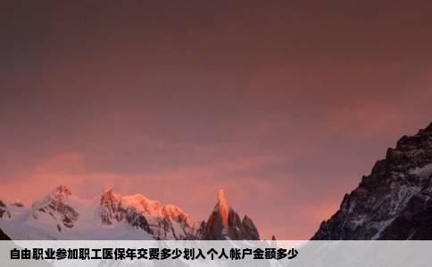 自由职业参加职工医保年交费多少划入个人帐户金额多少